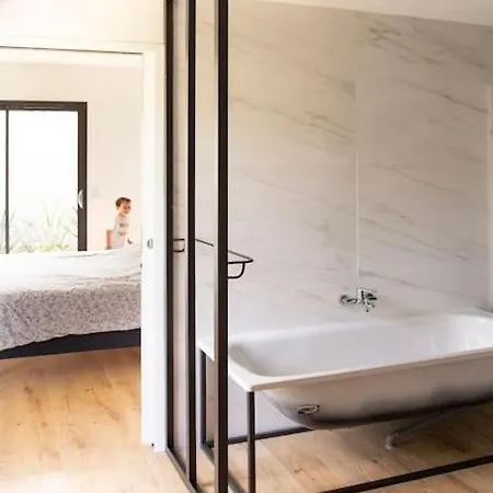 Вилла Moderne Avec Piscine Альби