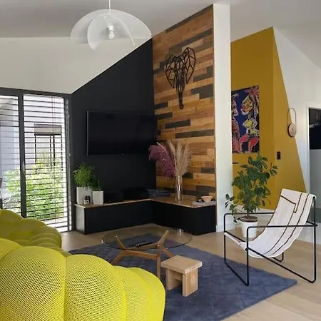 Moderne Avec Piscine 别墅 阿尔比