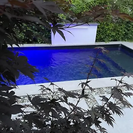 Moderne Avec Piscine 别墅