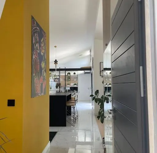 Moderne Avec Piscine Albi