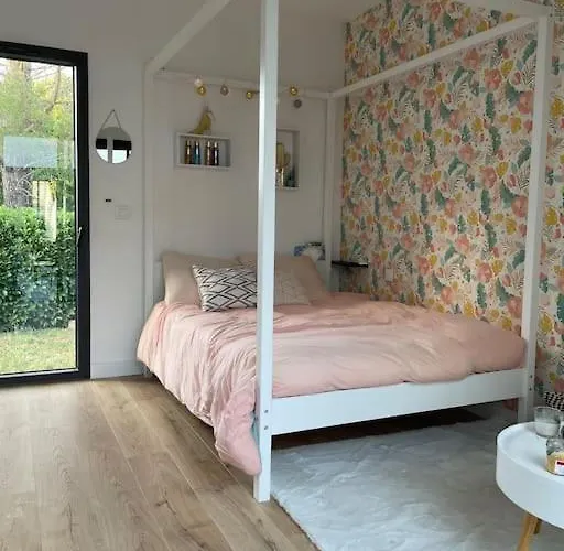 Moderne Avec Piscine Villa Albi